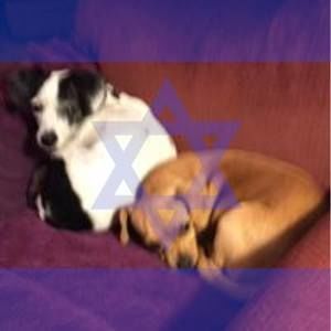 Meet your Posher, Randi